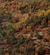 Aerial View of Rock Ledge Motel