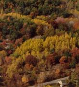 Aerial View of Rock Ledge Motel